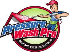 Pressure Wash Pro
